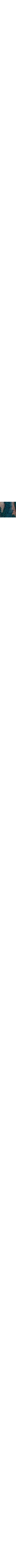 Sarcelle