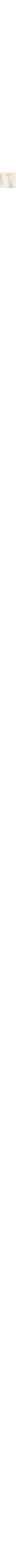 Blanc cassé