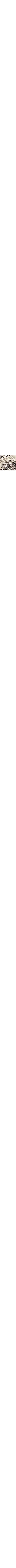 Brun à motifs
