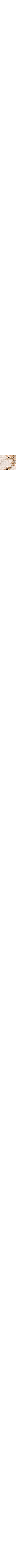 Brun à motifs