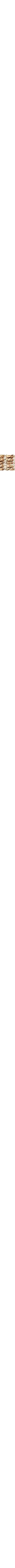 Brun à motifs