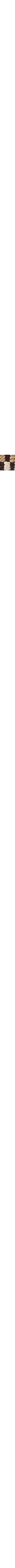 Brun à motifs