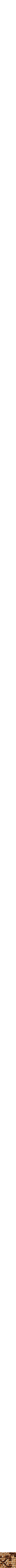 Assorti