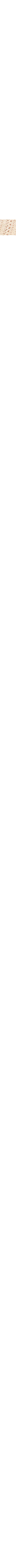 Ecru/Linen