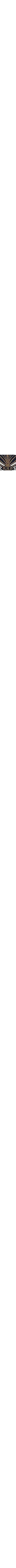 Brun à motifs