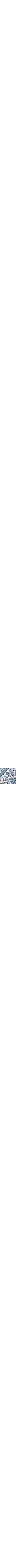 Patterned Blue