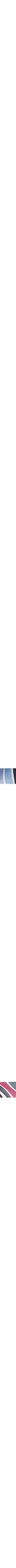 Bleu à motifs
