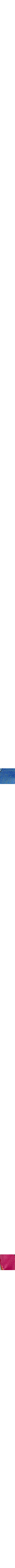 Bleu à motifs