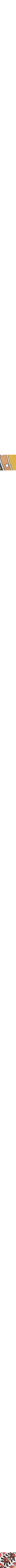 Brun à motifs