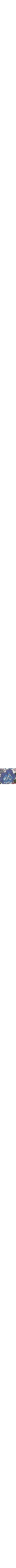 Patterned Blue
