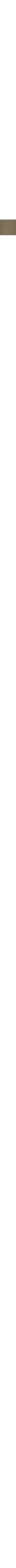 Ecru/Linen