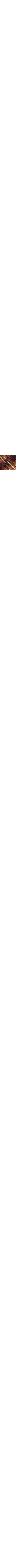 Brun à motifs