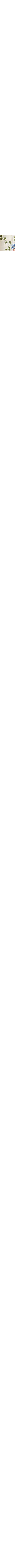 Écru à motifs