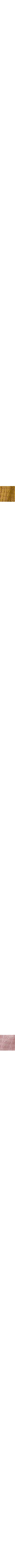Vieux rose