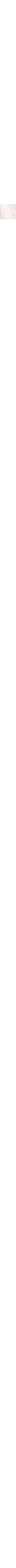 Beige - Grège