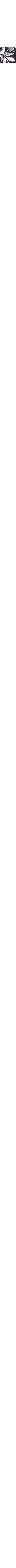 Noir à motifs