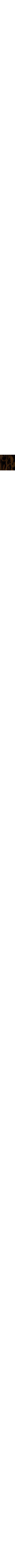Brun à motifs