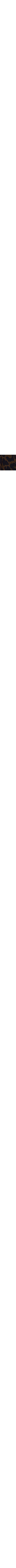 Léopard