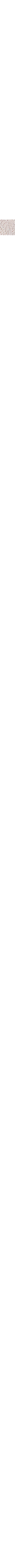 Écru - Lin