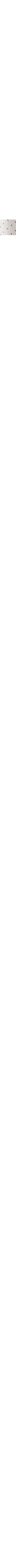 Ecru/Linen
