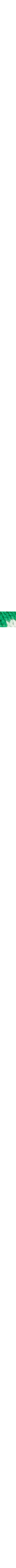 Vert à motifs
