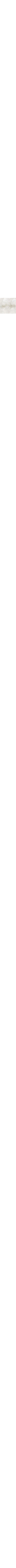 Blanc à motifs