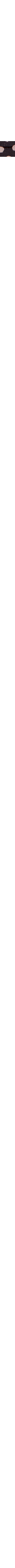 Noir à motifs