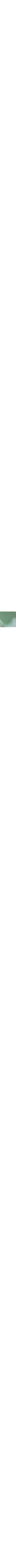 Vert à motifs