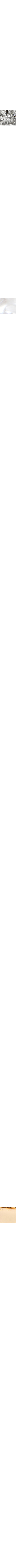 Assorti