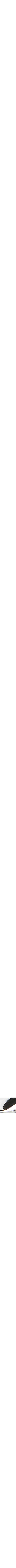 Jaune doré