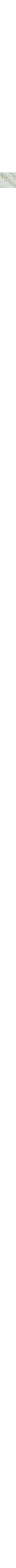 Blanc cassé