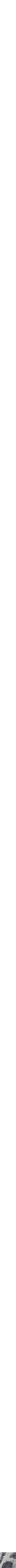 Assorti