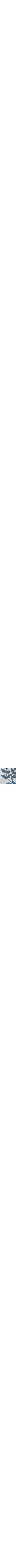 Bleu à motifs
