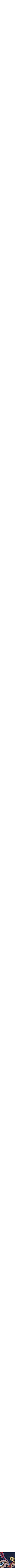 Assorti