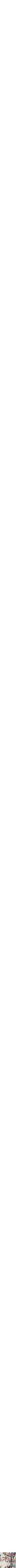 Assorti