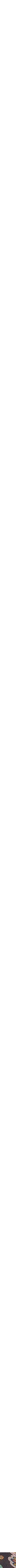 Assorti