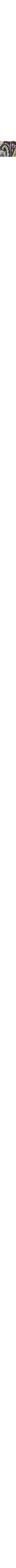 Bleu à motifs