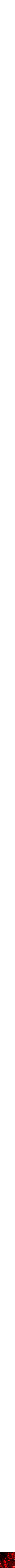 Assorti