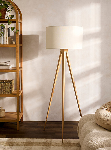 Director floor lamp