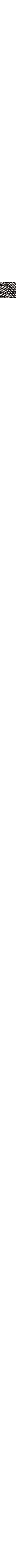 Blanc et noir