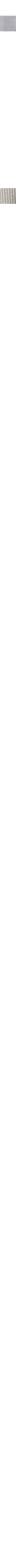 Ivory/Cream Beige