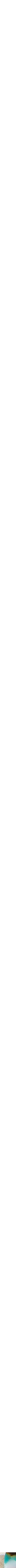 Assorti