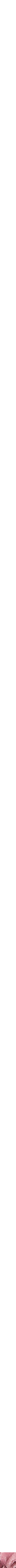 Assorti