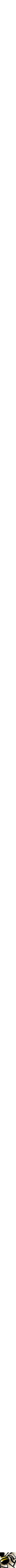 Assorti