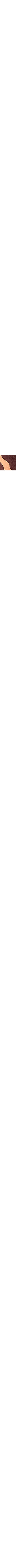 Brun à motifs