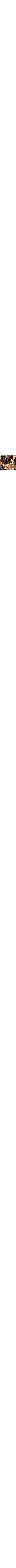 Brun à motifs