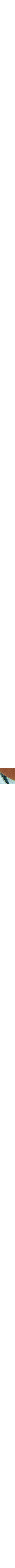 Bleu à motifs