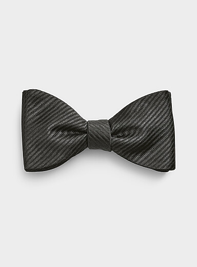Le n&oelig;ud papillon pure soie rayures obliques