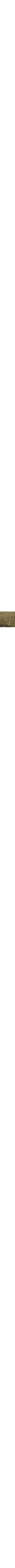 Vert à motifs