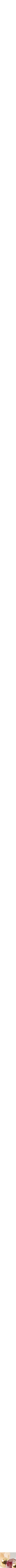 Assorti